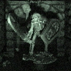 skeleton.jpg (34798 bytes)